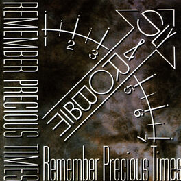 Album cover of Remember Precious Times