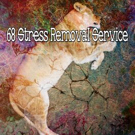 Album cover of 68 Stress Removal Service