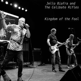 Album cover of Kingdom of the Fool