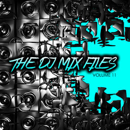 Album cover of The DJ Mix Files, Vol. 11