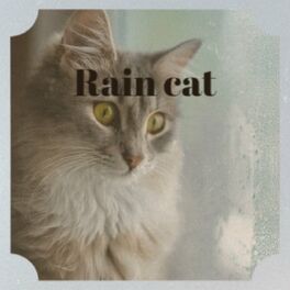 Album cover of Rain Cat