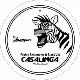 Album cover of Casalinga
