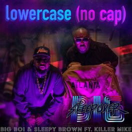 Album cover of Lower Case (no cap) [feat. Killer Mike]