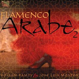 Album cover of Flamenco Arabe 2
