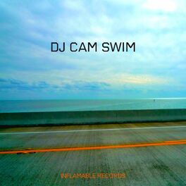 Album cover of Swim