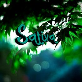 Album cover of Sativa