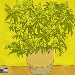 Album cover of Yellow