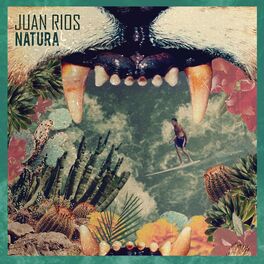 Album cover of Natura