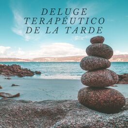 Album cover of Deluge terapeutico de la tarde