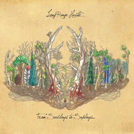 Album cover of From Seedlings to Saplings. . .