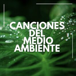 Album cover of Canciones del Medio Ambiente