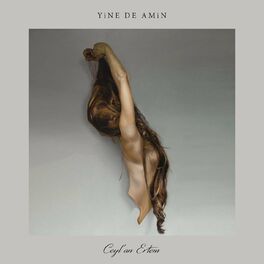 Album cover of Yine De Amin