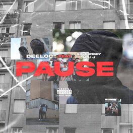 Album cover of Pause