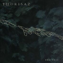 Album cover of The Veil