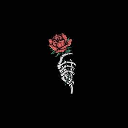 Album cover of roses