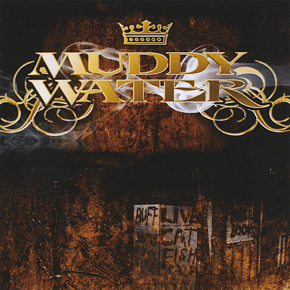 Песня muddy water stray