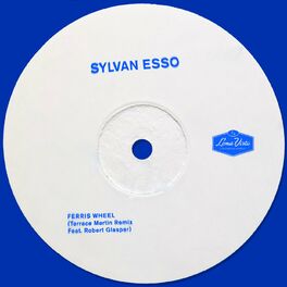 Album cover of Ferris Wheel (Terrace Martin Remix)