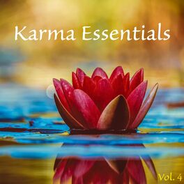 Album picture of Karma Essentials, Vol. 4