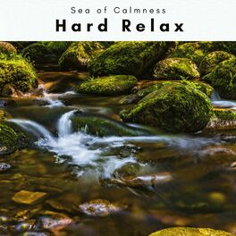 Album cover of A Hard Relax