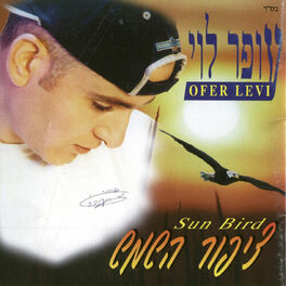 Album cover of ציפור השמש