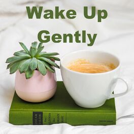Album cover of Wake Up Gently
