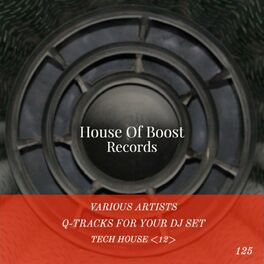 Album cover of Q-Tracks for your Dj Set Tech House 12