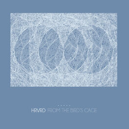 Album cover of From the Bird's Cage