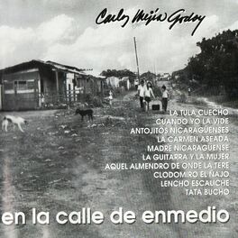Album cover of En la Calle de Enmedio