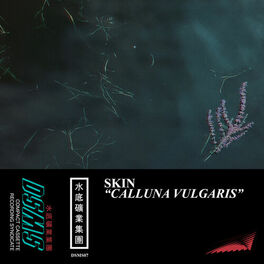 Album cover of Calluna Vulgaris