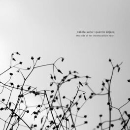 Album cover of The Side of Her Inexhaustible Heart