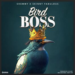 Album cover of Bird Boss