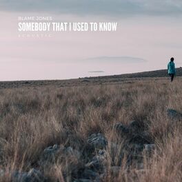 Album cover of Somebody That I Used to Know (Acoustic)