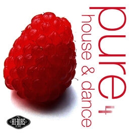 Album cover of Hi-Bias: Pure House & Dance 4