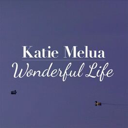 Album picture of Wonderful Life