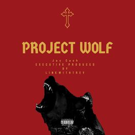 Album cover of Project Wolf