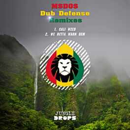 Album cover of Jungle Drops 13