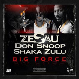 Album cover of Big Force