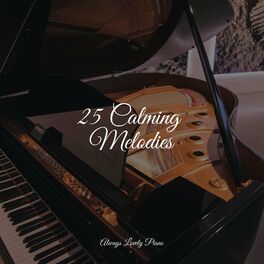 Album cover of 25 Calming Melodies