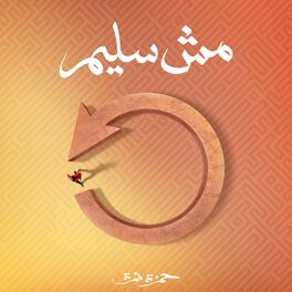 Album cover of Mesh Saleem