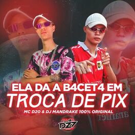 Album cover of ELA DA A B4CET4 EM TROCA DE PIX