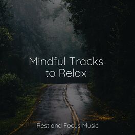 Album cover of 30 Relaxing Songs for Deep Sleep and Meditation