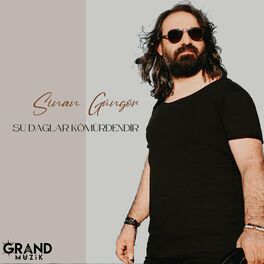 Album cover of Şu Dağlar Kömürdendir