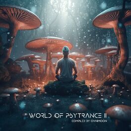 Album cover of World Of Psytrance 11