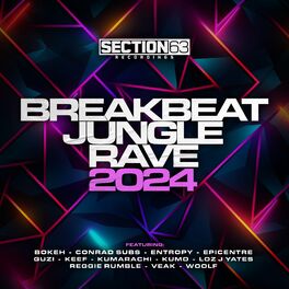 Album cover of Breakbeat, Jungle, Rave - 2024