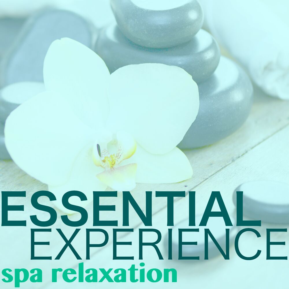 Essential experience. Homelekom Relax&Spa. Хилинг спа Краснодар отзывы.