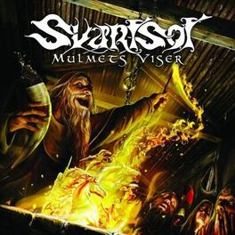 Album cover of Mulmets Viser