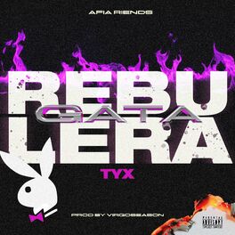 Album cover of Gata Rebulera