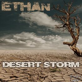 Album cover of Desert Storm