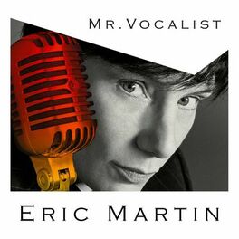 Album cover of MR.VOCALIST