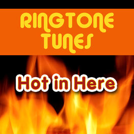Album cover of Ringtone Tunes: Hot In Here